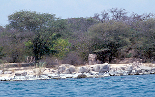 Kasaba Bay