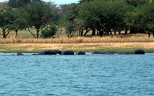 Kasaba Bay